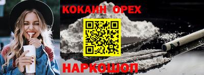 гидра Кандалакша